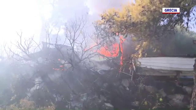 Incendiile continuă să facă prăpăd în Europa. Două persoane au murit în Grecia, iar un flăcările uriașe amenință Belgia