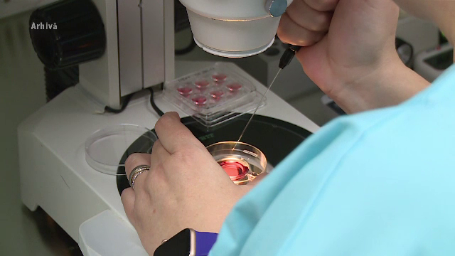 Programul Național de Fertilizare in Vitro a început: peste 2.500 de dosare în primele 6 ore. 15.000 de lei, suma decontată