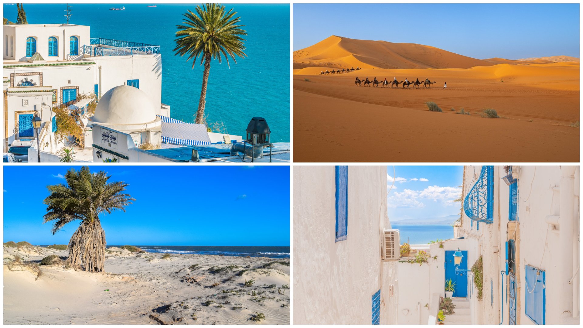 Tunisia, destinația accesibilă care oferă mai mult decât te-ai aștepta. Cum să organizezi o vacanță de lux la bani puțini