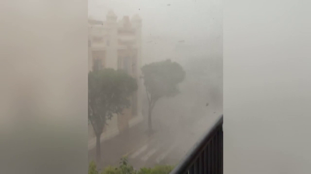 Furtuni violente după caniculă, în Valencia. Rafale de 150 de km/h au smuls copaci din rădăcini
