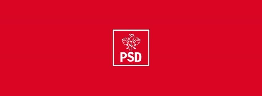 ”O obrăznicie fără margini”. Liderul senatorilor PSD îl atacă pe consilierul lui Mugur Isărescu, numindu-l ”un îmbuibat”