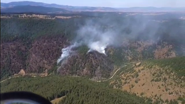 Incendiu de proporții în Cluj. Au ars șase hectare de pădure. Localnicii, chemați să ajute pompierii