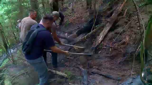Un incendiu puternic a mistuit o pădure și amenință casele unor săteni din Mărișel județul Cluj