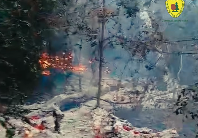 Incendiu puternic de pădure în apropierea localităţii Plauru din județul Tulcea. Cauza ar fi explozia unei drone. VIDEO