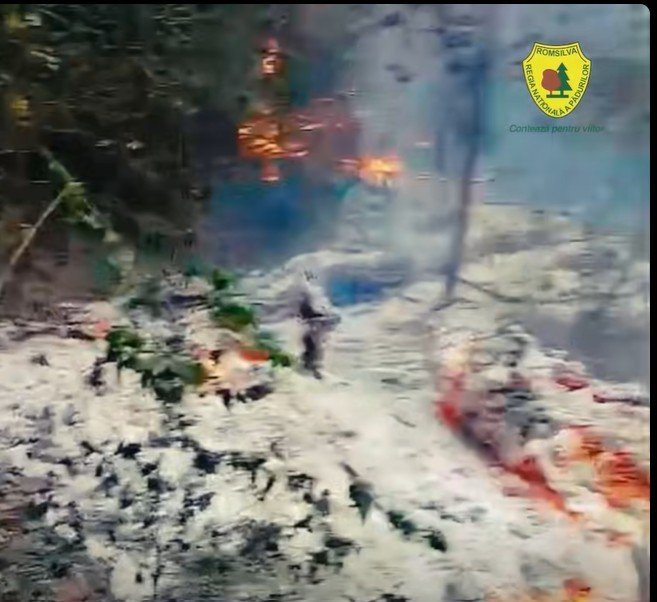Pădurea din Plauru, mistuită de flăcări. Posibila cauză ar fi explozia unei drone