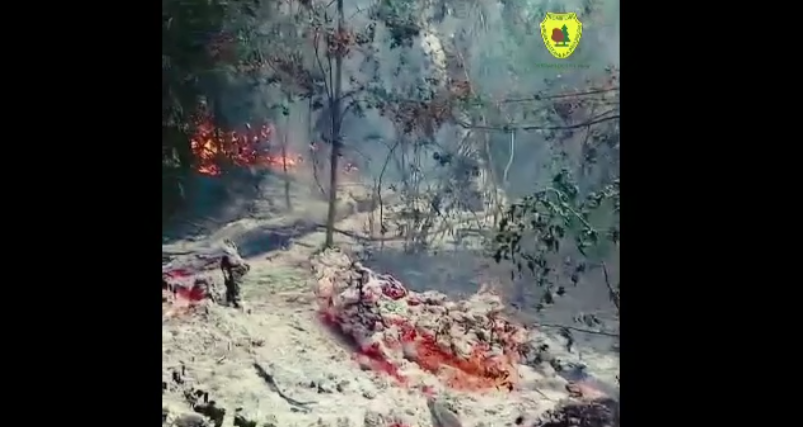 2.000 de mp au ars în pădurea din zona Plauru după explozia unei drone. Fragmentele nu conțin resturi de explozibil