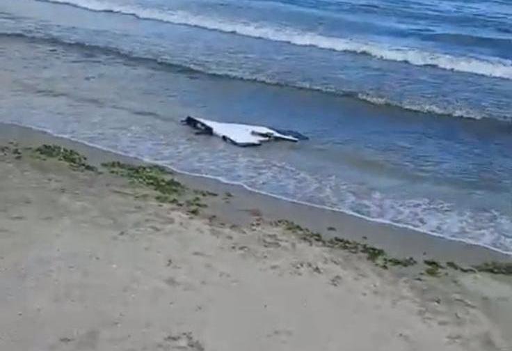 Un fragment de dronă a fost găsit pe o plajă din Constanţa. Autoritățile au stabilit că nu avea explozibil