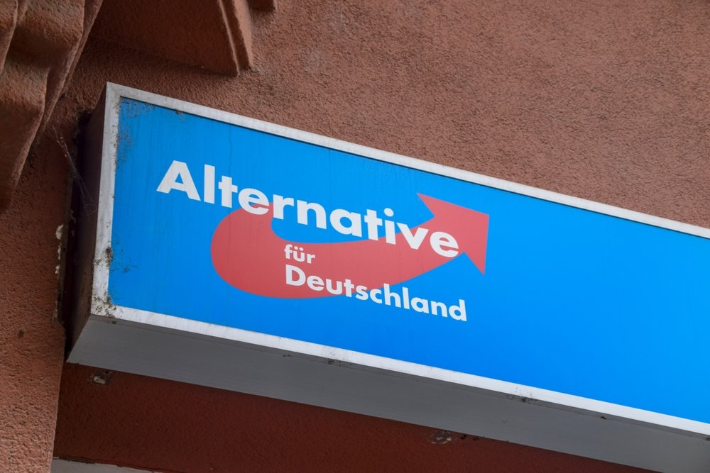 Ce conține, de fapt, programul oficial politic al AfD. Au promis că vor acționa ”din primul minut” după ce vor câștiga