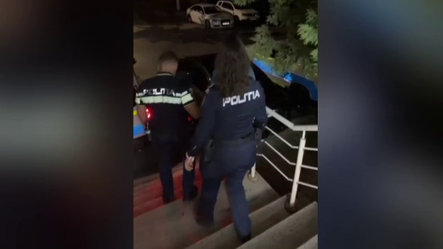 O femeie din Deva a fost mușcată în bloc de un câine fugit dintr-un apartament. Proprietarul animalului a fost reținut