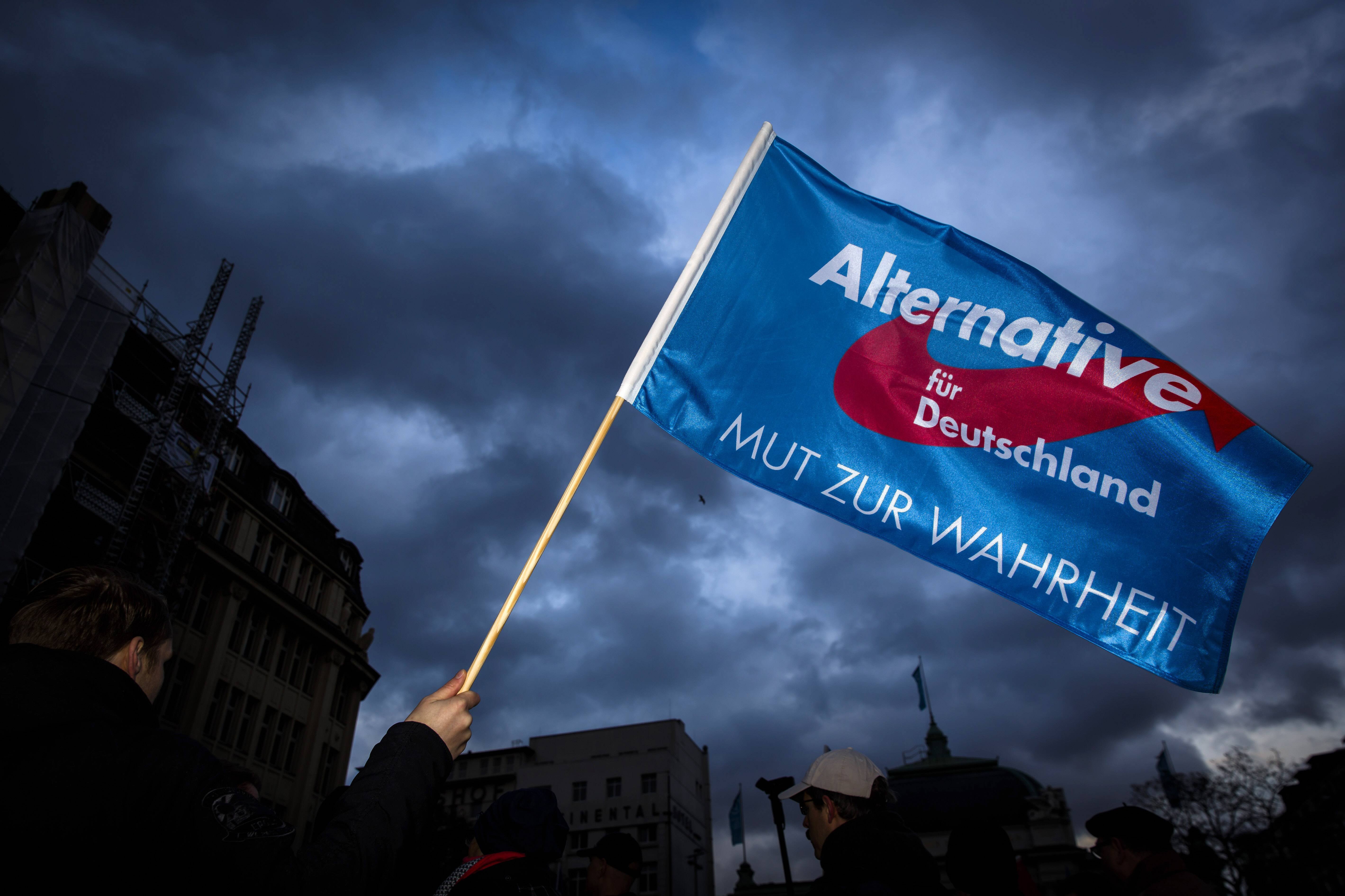 Actor de filme pentru adulți condamnat și un fost ofițer Stasi, printre noii deputați ai extremei-dreapta AfD. ”Băieții răi”