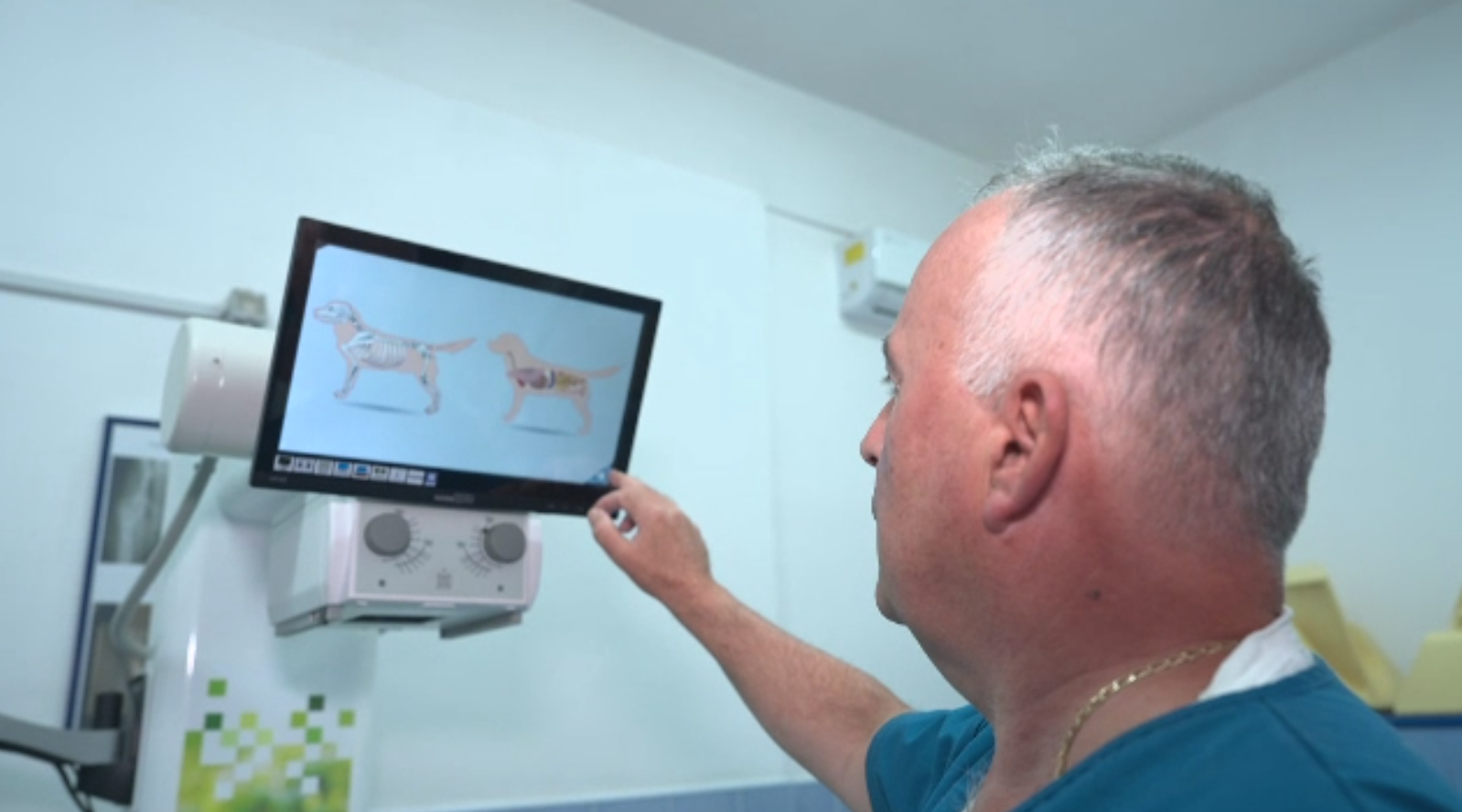Spitalele pentru animale încep să semene cu cele pentru oameni. CT, cardiologie și chirurgie pentru pacienții cu 4 picioare