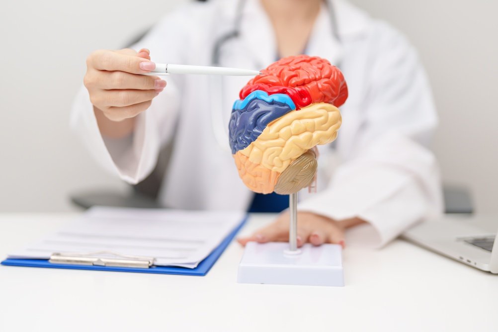 Studiu: Memoria începe să slăbească mai devreme decât credeam. Vârsta la care apar primele schimbări