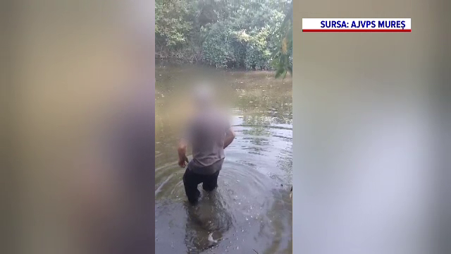 Bărbat prins cum aruncă un sac cu găini moarte în Târnava Mică. Paznicul l-a pus să aleagă: amendă sau să-l scoată. Ce a ales