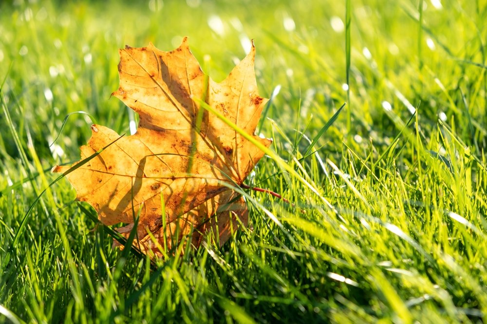 Cum va fi vremea în România până pe 12 octombrie. Prognoza meteo pentru următoarele 4 săptămâni