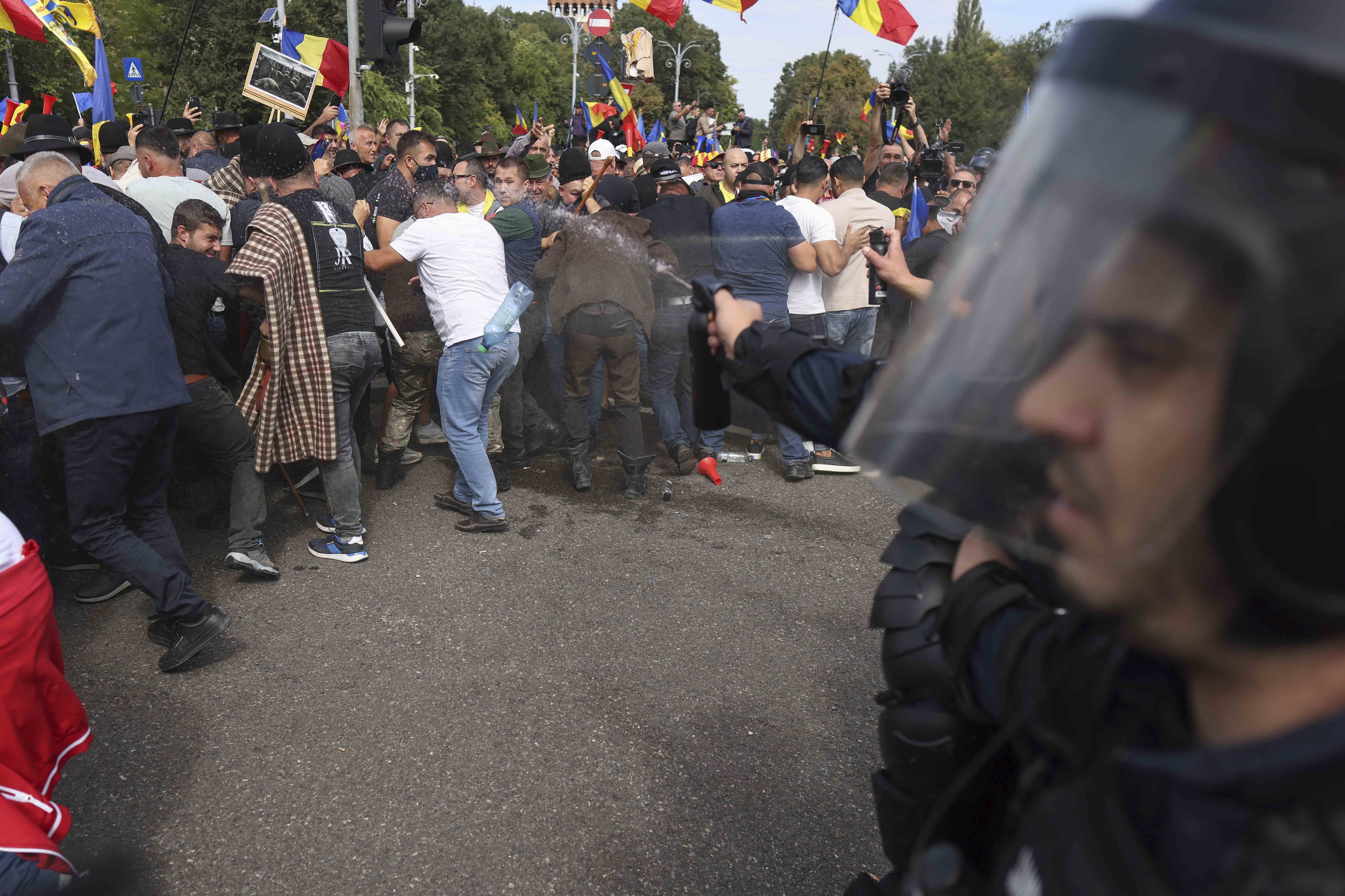 Jandarmeria, după incidentele din Piața Victoriei: „Protestatarii nu au cooperat încă de la prima oră. Au aruncat cu obiecte”