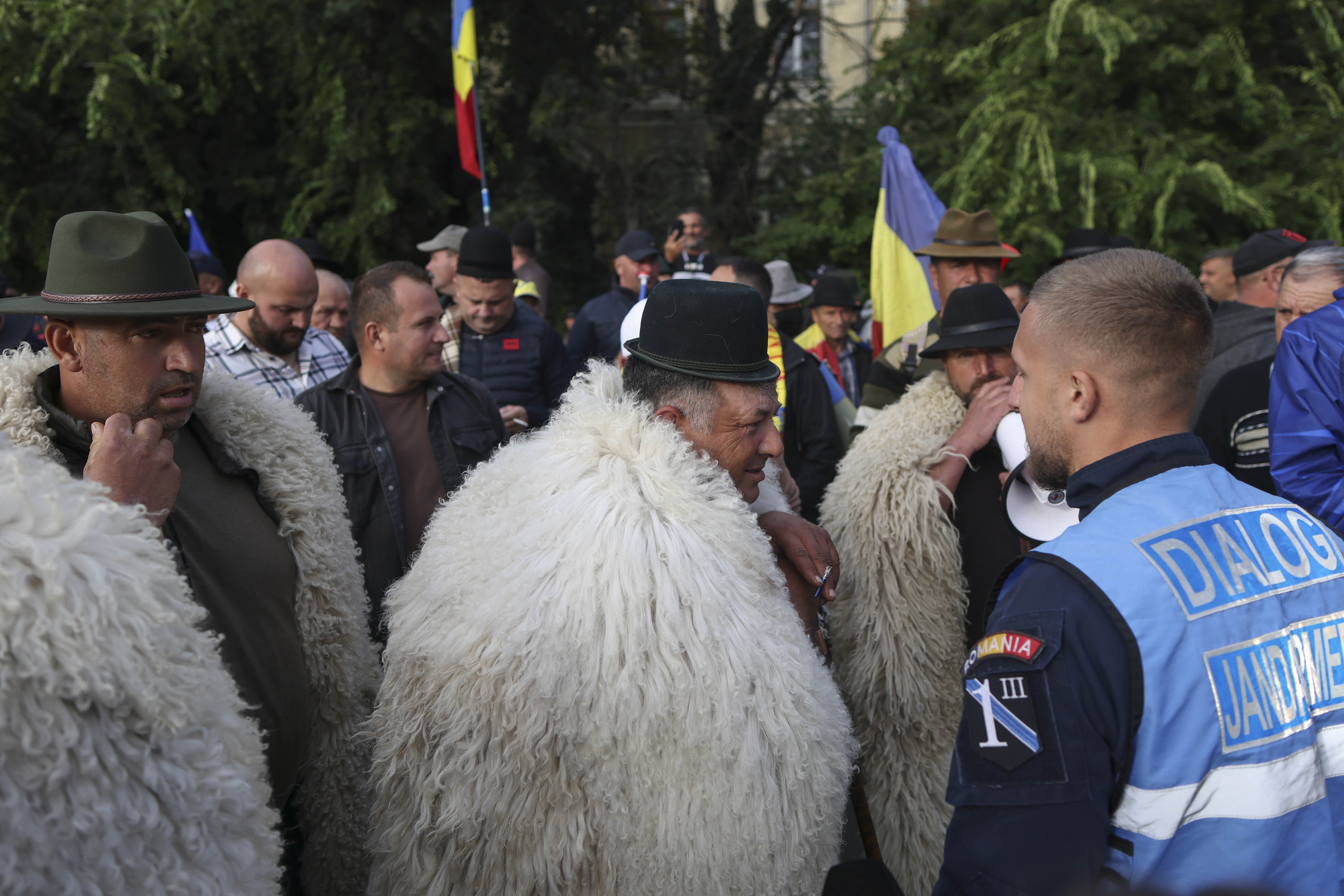 Ce se întâmplă cu exporturile de oi și capre după protestul din Piața Victoriei. Planul României, la Bruxelles