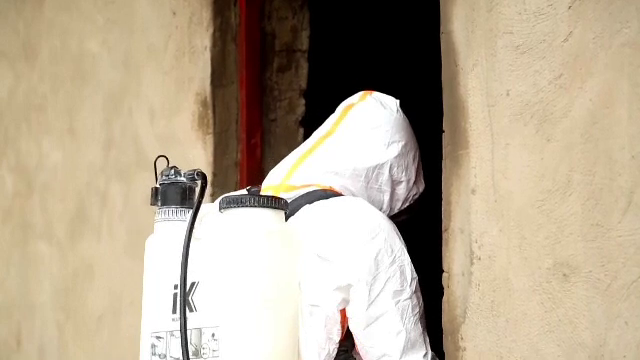 Ebola