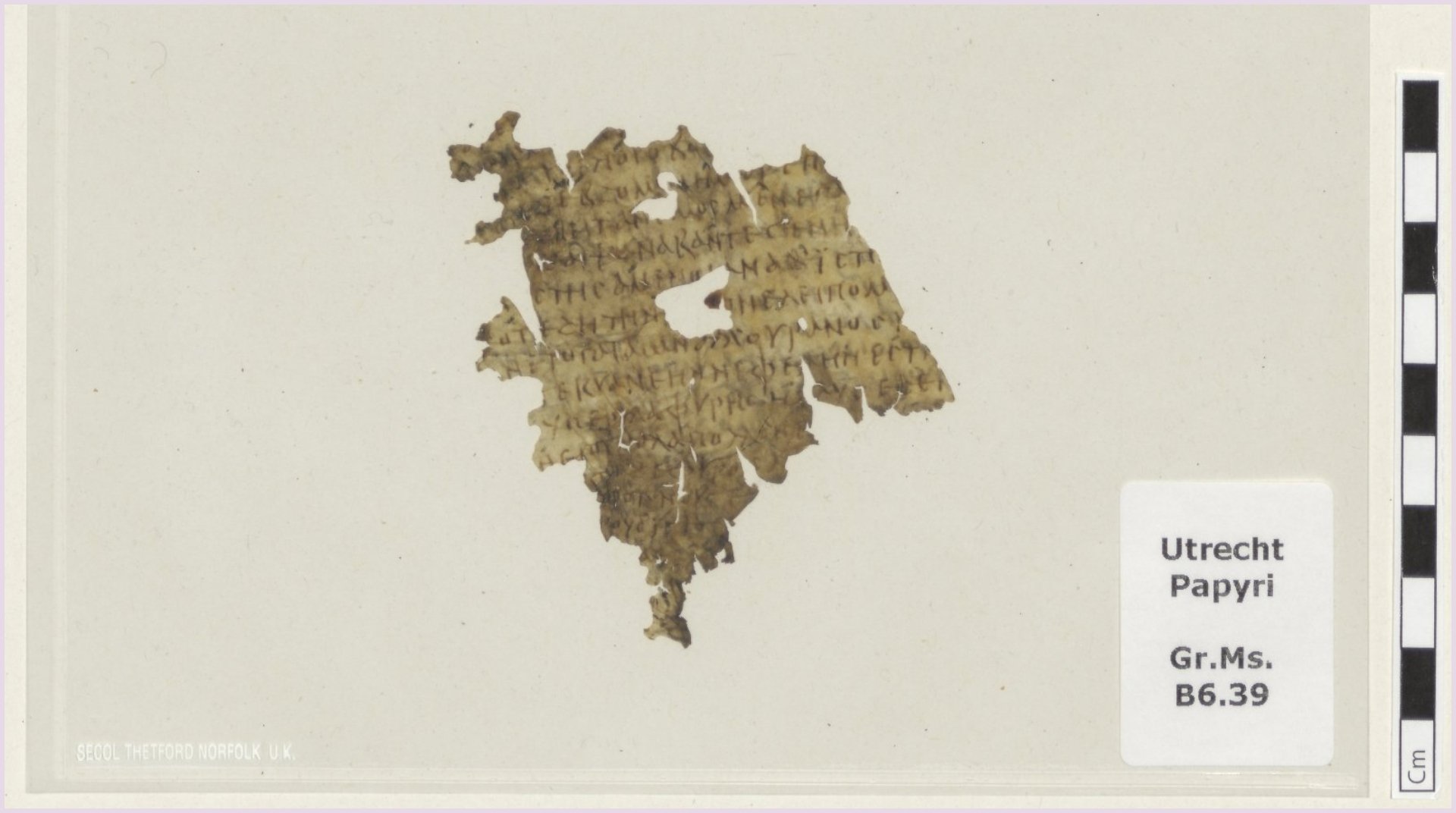Un fragment din „Odiseea”, vechi de 1.700 de ani, descoperit într-o bibliotecă din Olanda. Ce parte conține