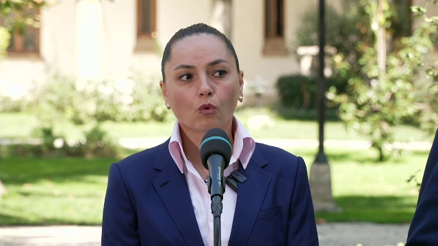 Ana Maria Gavrilă: „Vom susține un guvern tehnocrat, pentru că nu există altă cale”