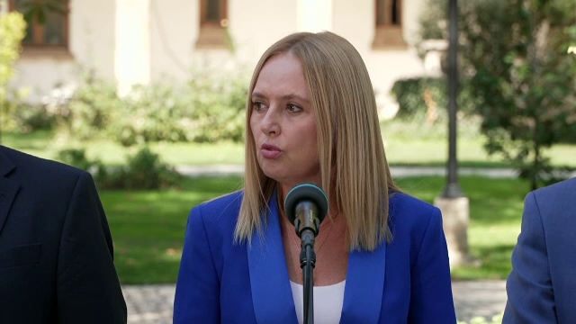 Nadia Cerva, după consultările de la Cotroceni: „Nu vor fi anticipate. Este doar campanie electorală pentru USR și AUR”