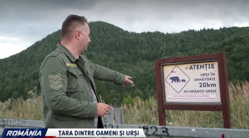 Problema urșilor din România, fără rezolvare. Autoritățile, cercetătorii și activiștii au răspunsuri diferite: „E haos total”