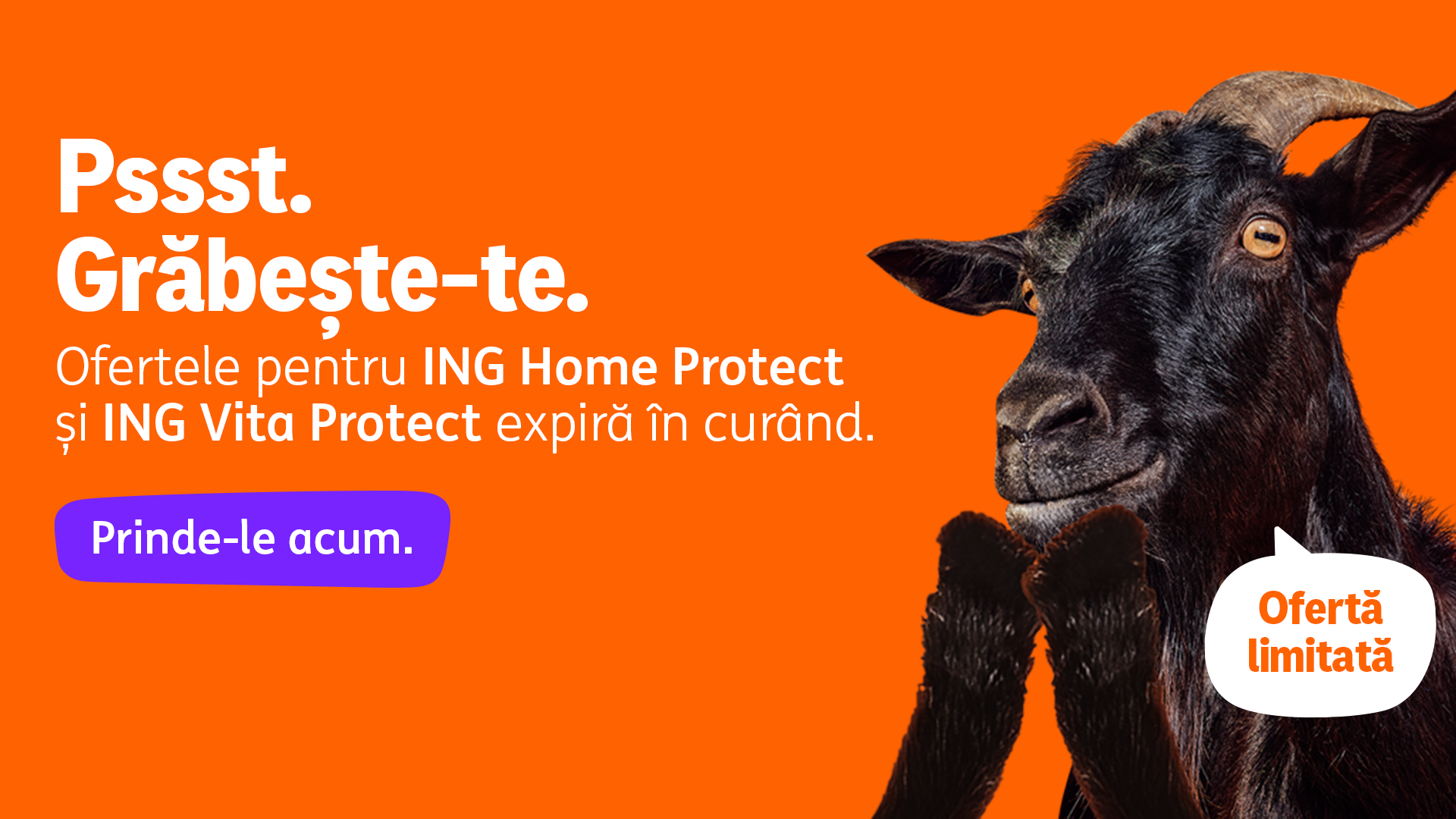 (P) ING Bank România: Protecția pentru ceea ce contează. Două oferte speciale pentru asigurările de viață și locuință