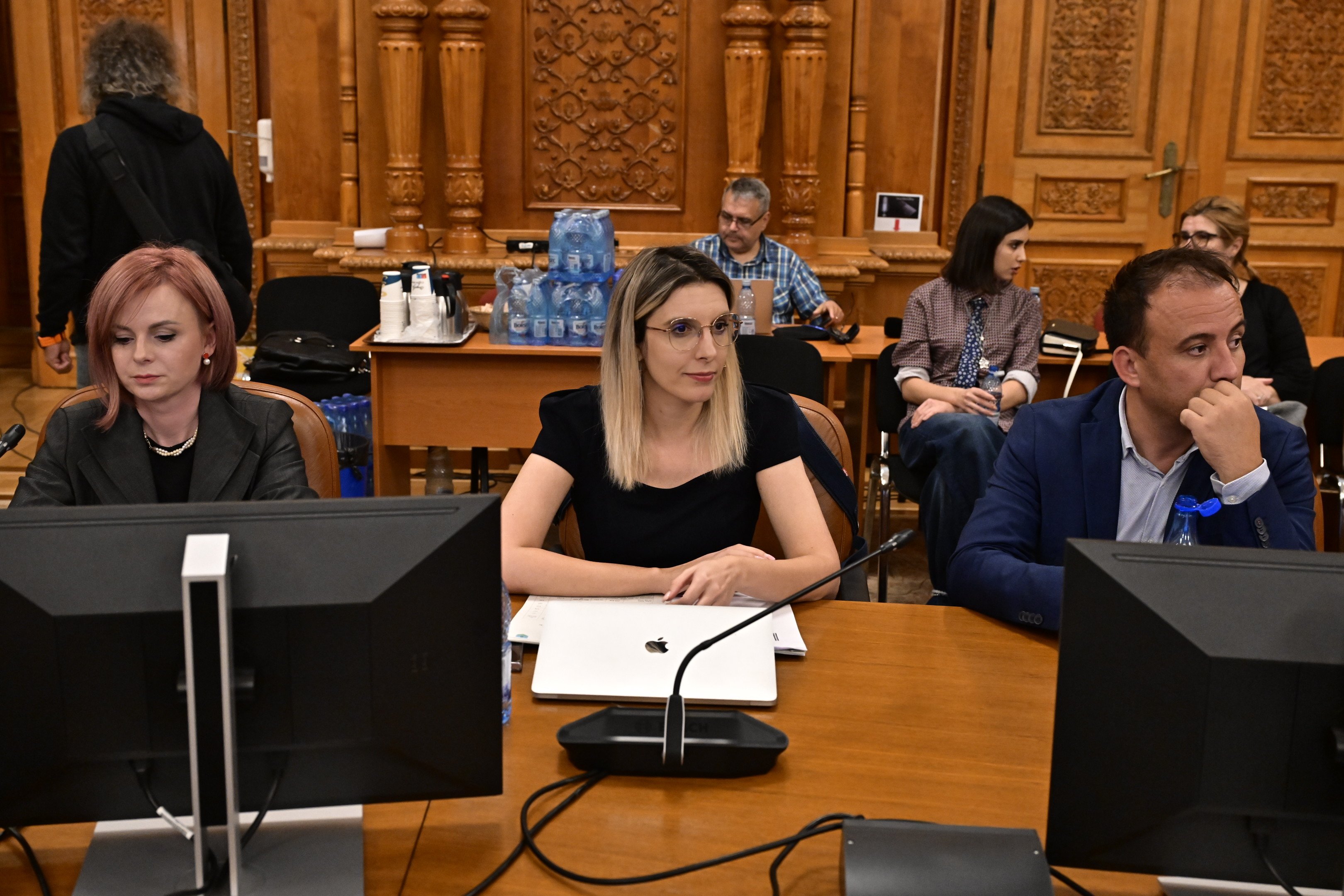 Diana Buzoianu, după audierea din Parlament: Reformele începute în acest ultim an trebuie să continue