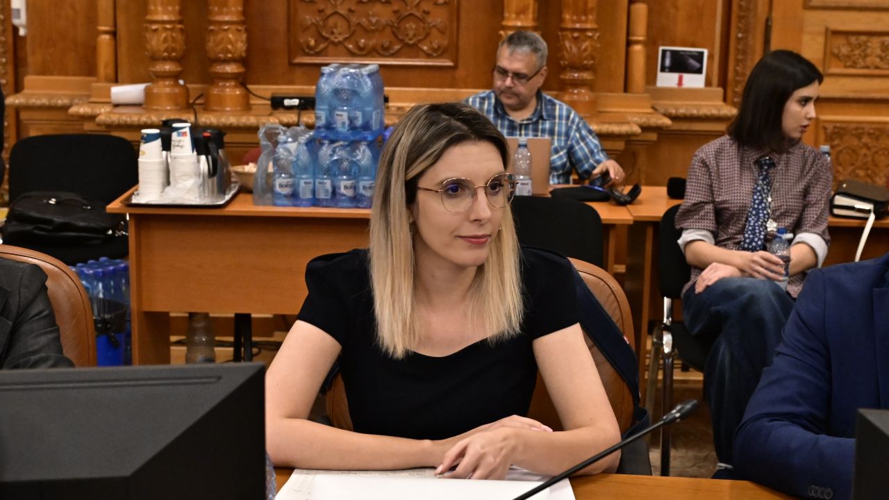 Diana Buzoianu, după audierea din Parlament: Reformele trebuie să continue