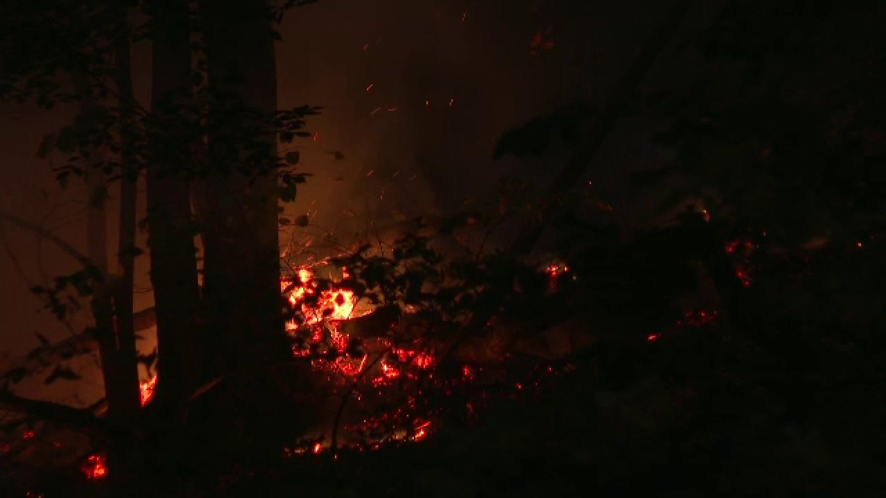 Incendiul de lângă Băile Herculane se extinde. Peste 400 de hectare au fost afectate, iar focul amenință stațiunea