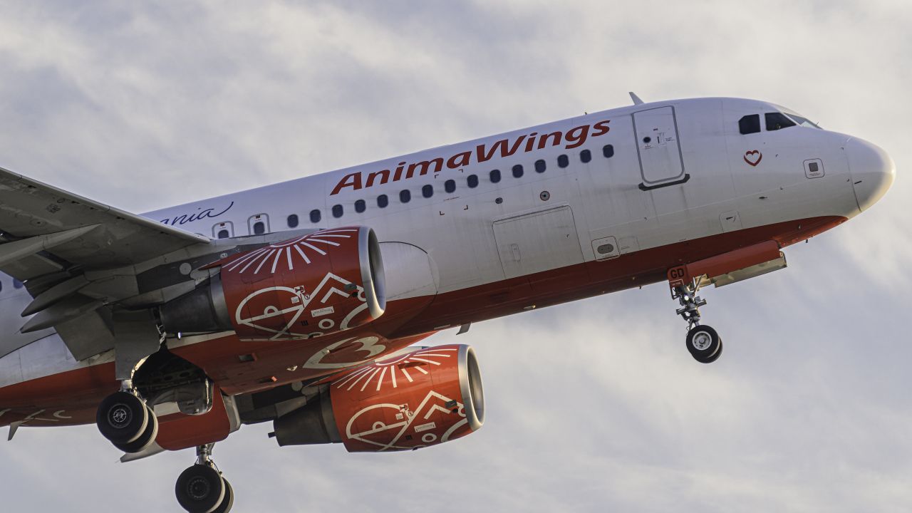 AnimaWings își cere insolvența după blocarea parțială a flotei Airbus A220