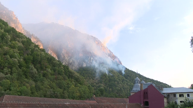 Incendiul din Parcul Național Domogled ajunge în instanță. Autoritățile ar fi sistat intervenția când focul nu era stins