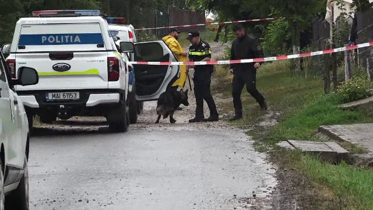 Mobilizare masivă pentru căutarea unui tânăr cioban de 19 ani din Bistrița-Năsăud: Turma de oi s-a întors acasă fără el