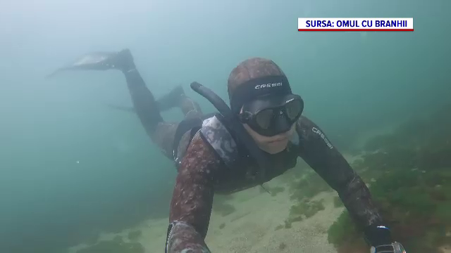 Cocoșelul de mare, cățelul și hiena ajung pe harta noilor pești exotici din Marea Neagră