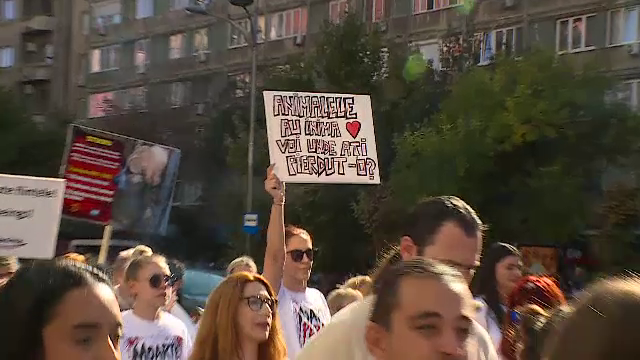 Mii de oameni au protestat pentru drepturile animalelor. Ce au cerut autorităților de Ziua Internațională a Animalelor