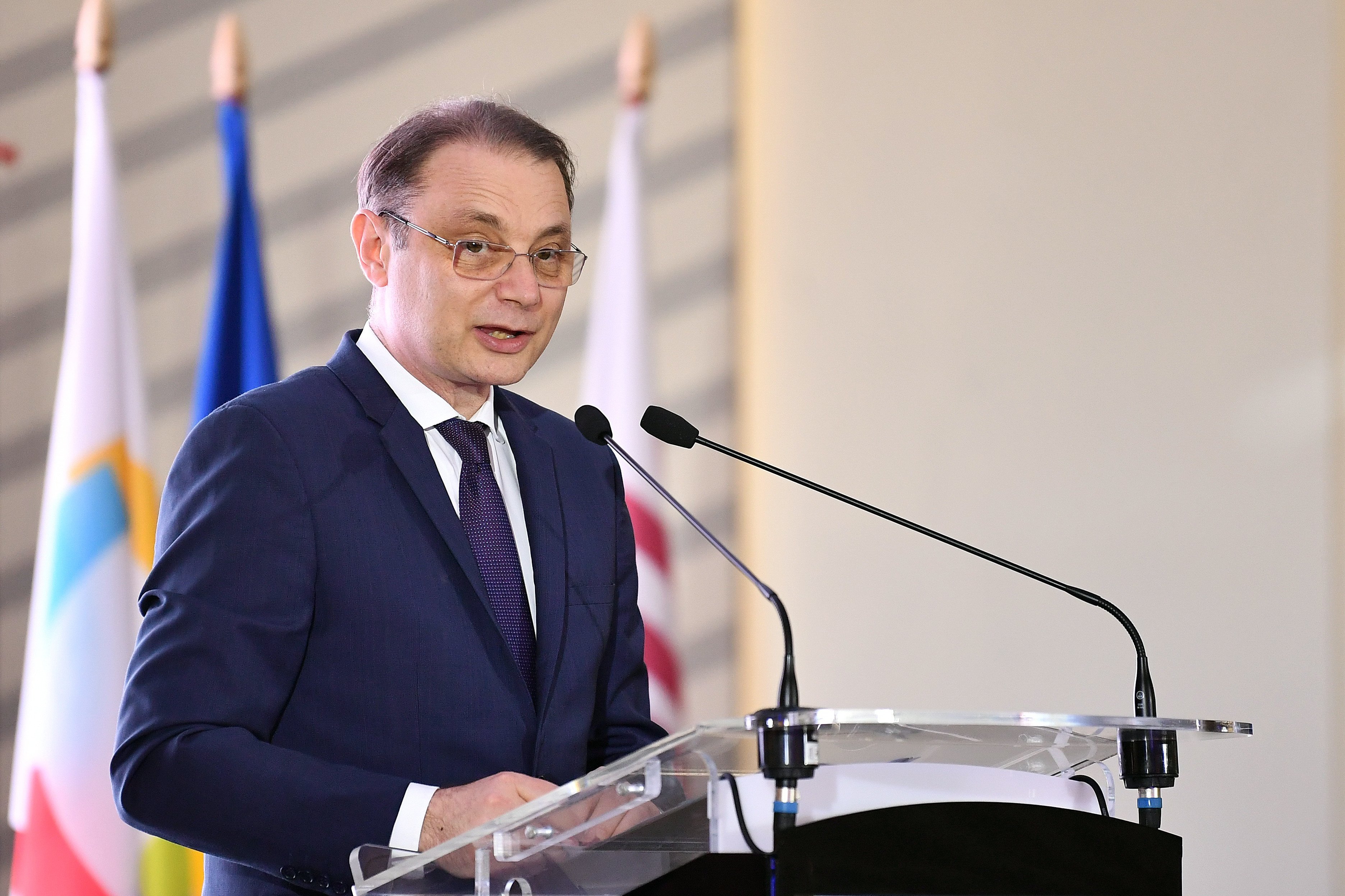 Luca niculescu