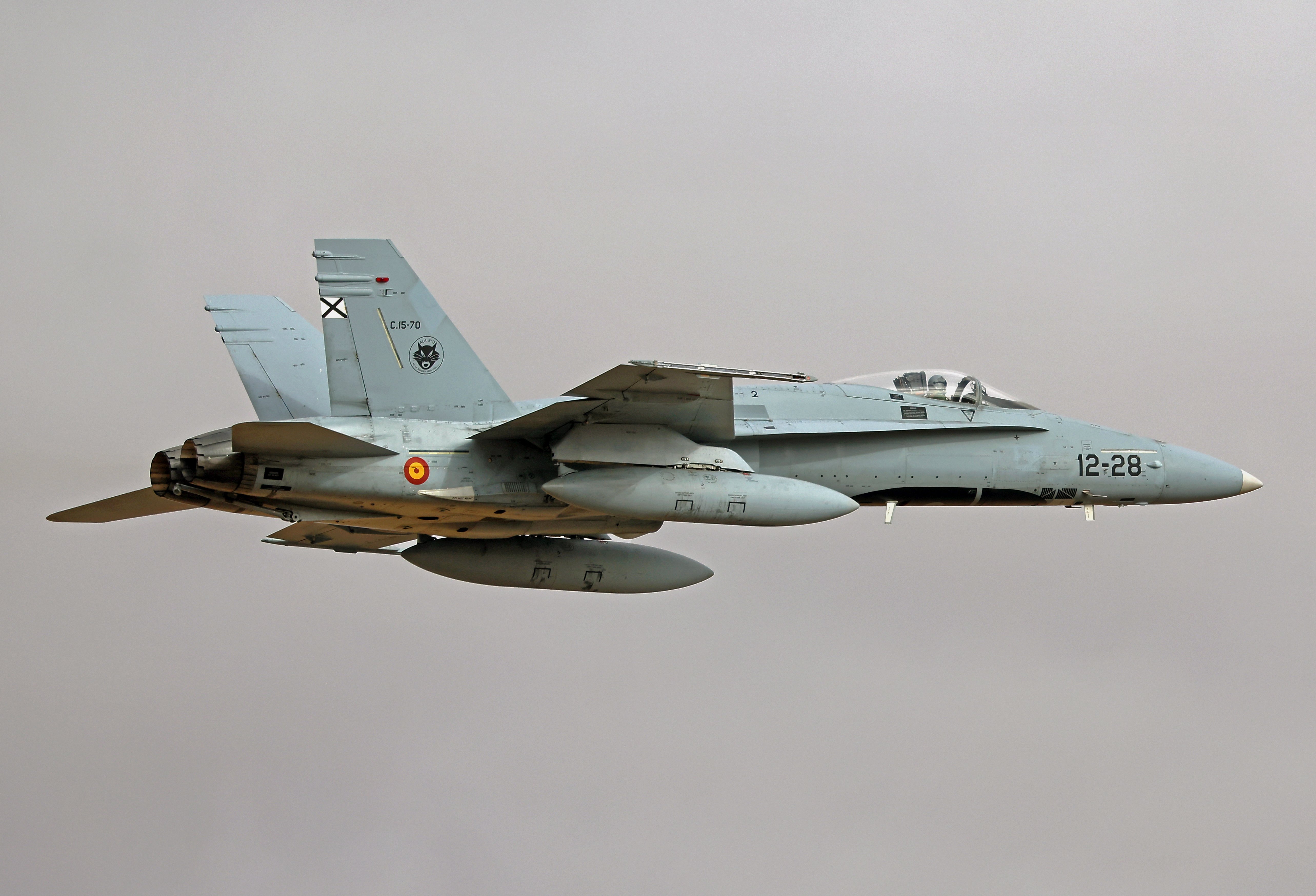 RO-Alert în Tulcea, la primele ore ale zilei. Două avioane F-18 au decolat după detectarea unor ținte lângă frontieră