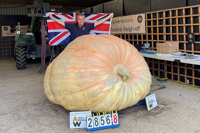 Un britanic a obținut un record mondial cu un dovleac uriaș. Cântărește aproape 1,3 tone