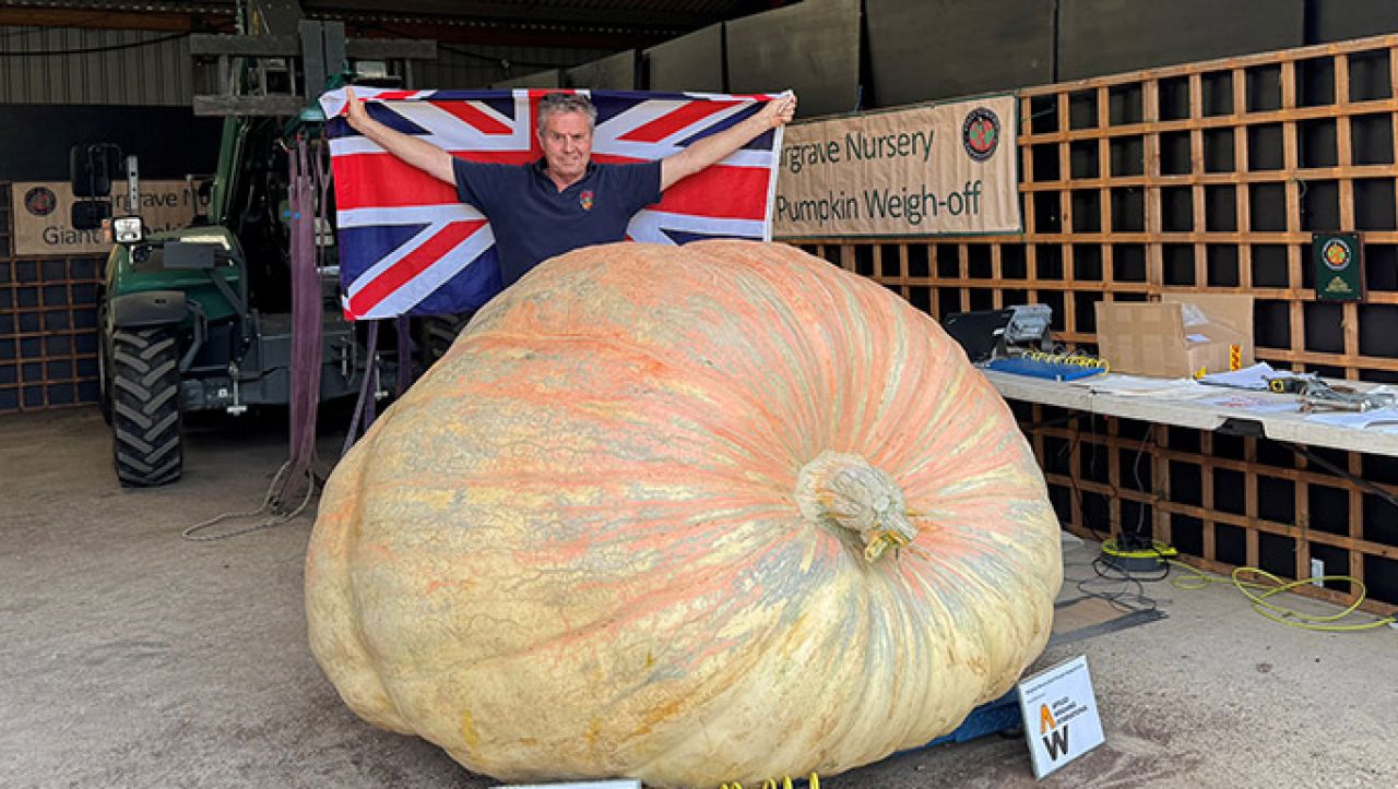 Un britanic a obținut un record mondial cu un dovleac uriaș. Cântărește aproape 1,3 tone