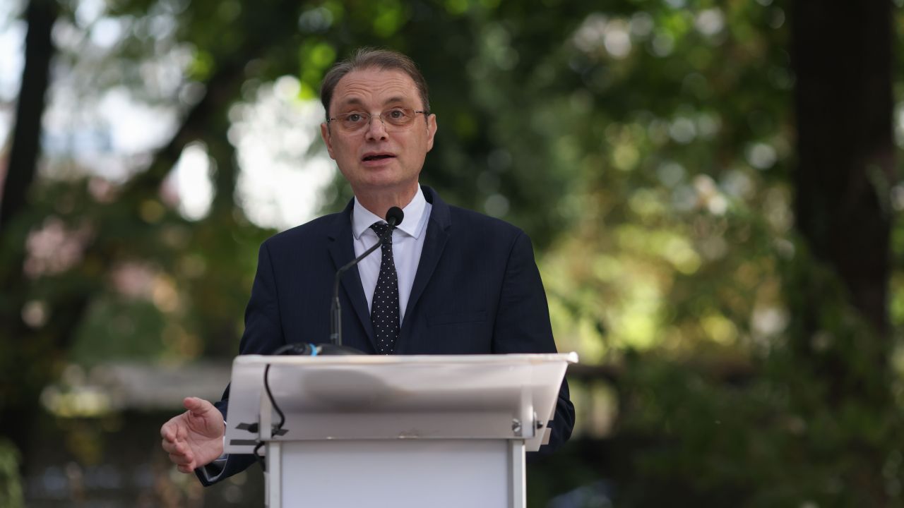 Luca Niculescu: Decizia depunerii mandatului de premier, luată aproape de termen