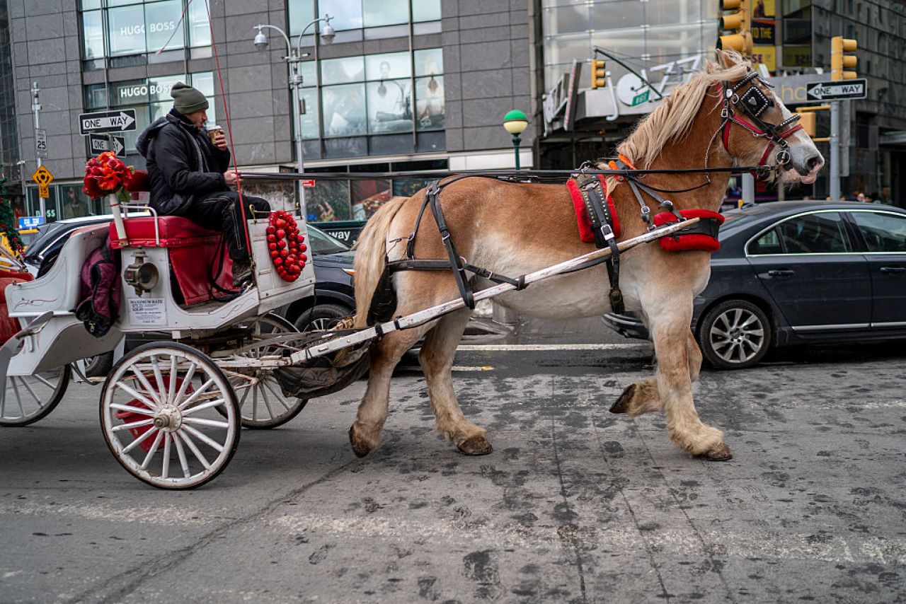 Plimbările cu căruțe din New York, interzise după un acord politic