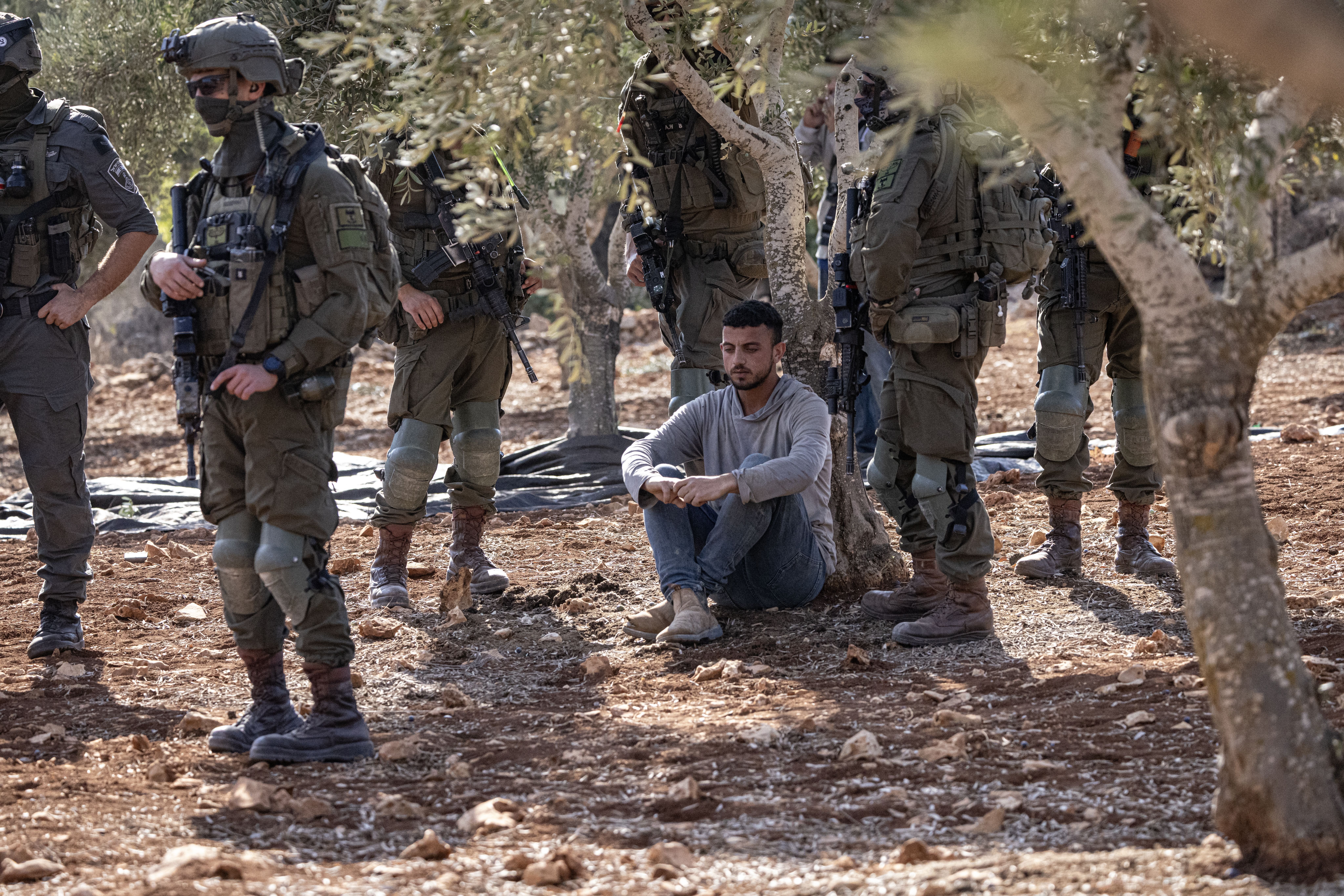 Atac israelieni palestinieni sezon masline ok gettyimages 2300095018