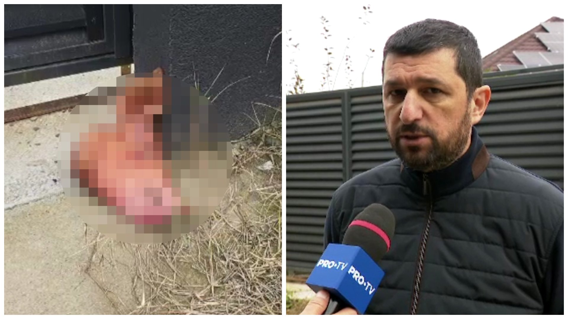 Reacția lui Marius Lulea, unul dintre fondatorii AUR, după ce s-a trezit cu un cap de porc în fața casei. George Simion, acuzat