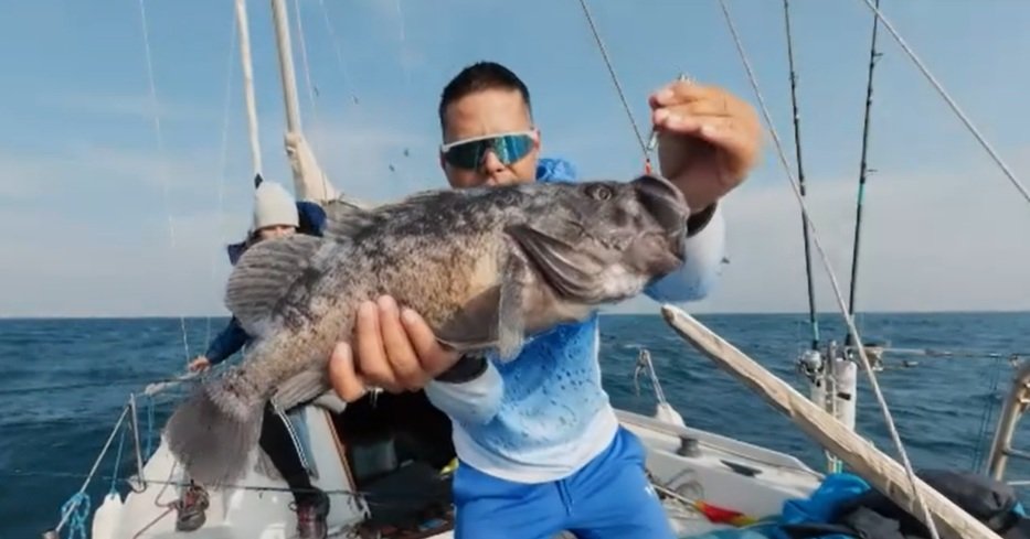 Korean rockfish