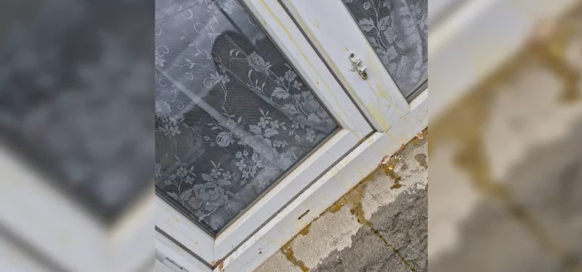 Casa atacata cu oua