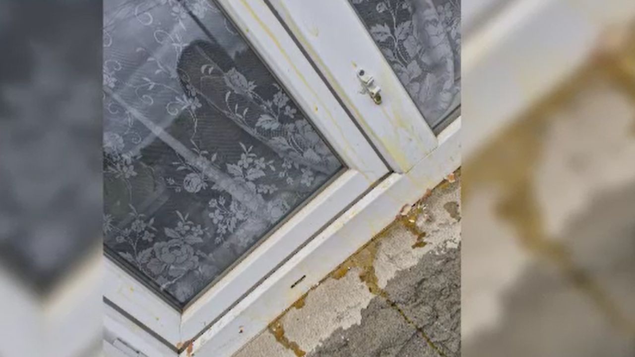 Atac cu ouă și pietre asupra unei case din Tulcea; doi suspecți filmați de camere de supraveghere