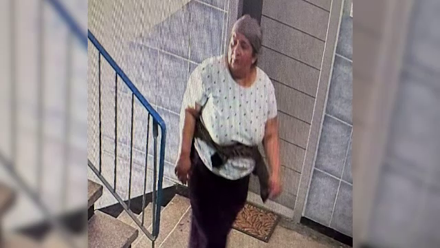 Poliția din Prahova caută o femeie suspectată de tâlhărie și furturi și cere ajutorul populației