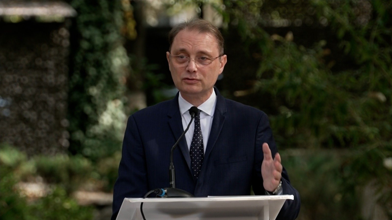 Luca niculescu protv poza
