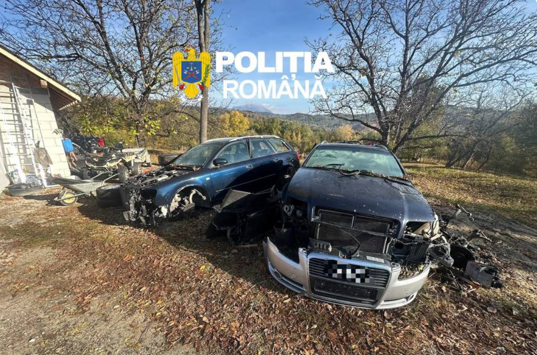 Un vâlcean și-a transformat curtea într-un centru ilegal de dezmembrări. Amendă de 5.000 de lei după ce polițiștii au găsit 12 tone de deșeuri și 12 mașini