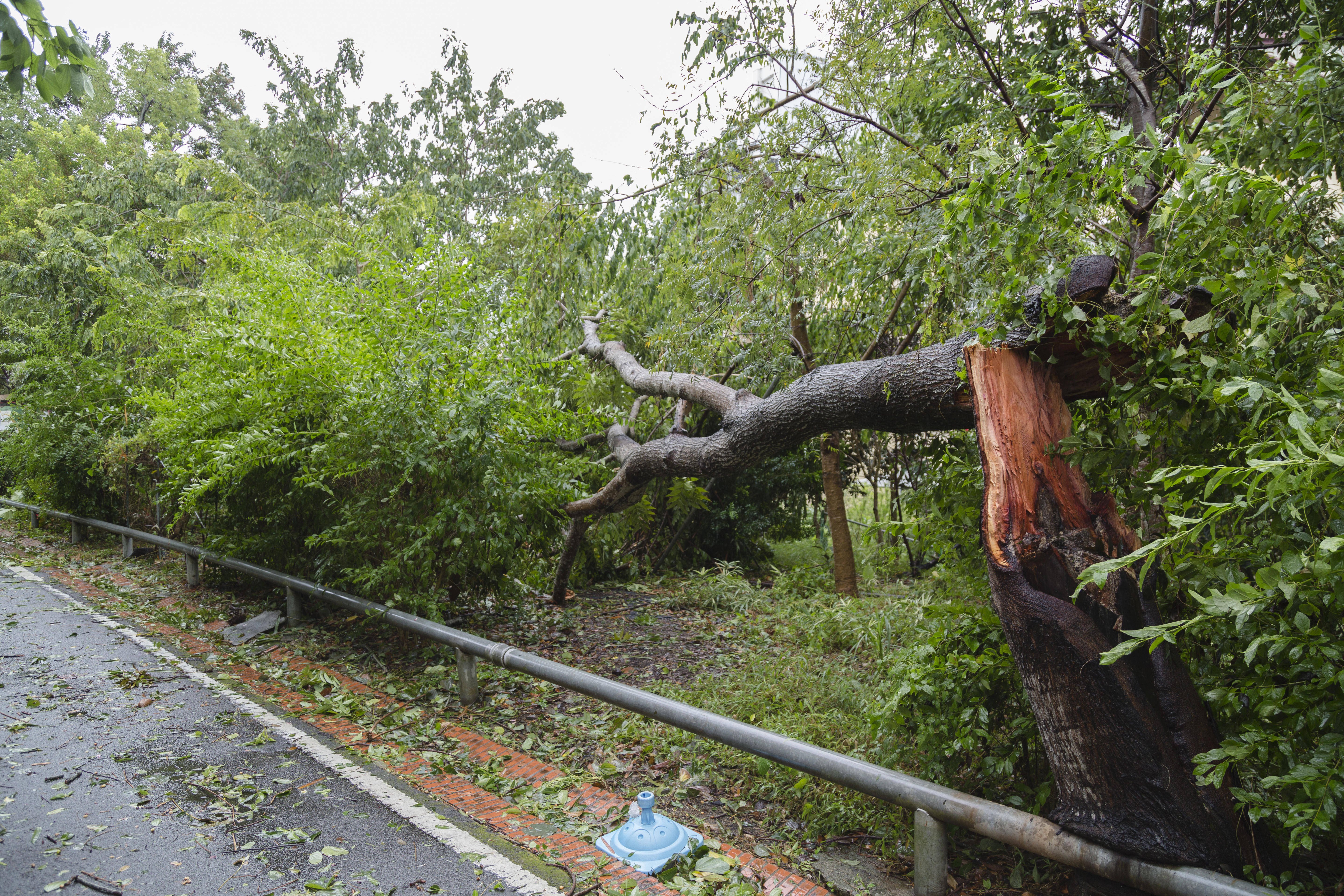 Taifunul Champi în Taiwan. 56.000 de gospodării fără curent electric, un mort şi mii de evacuaţi. FOTO
