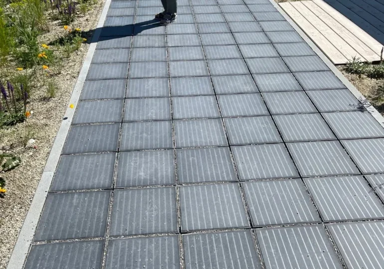 Panouri solare alei 770x540